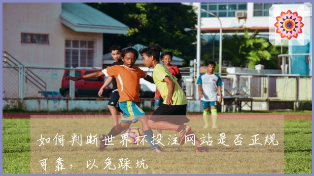 如何判断世界杯投注网站是否正规可靠，以免踩坑