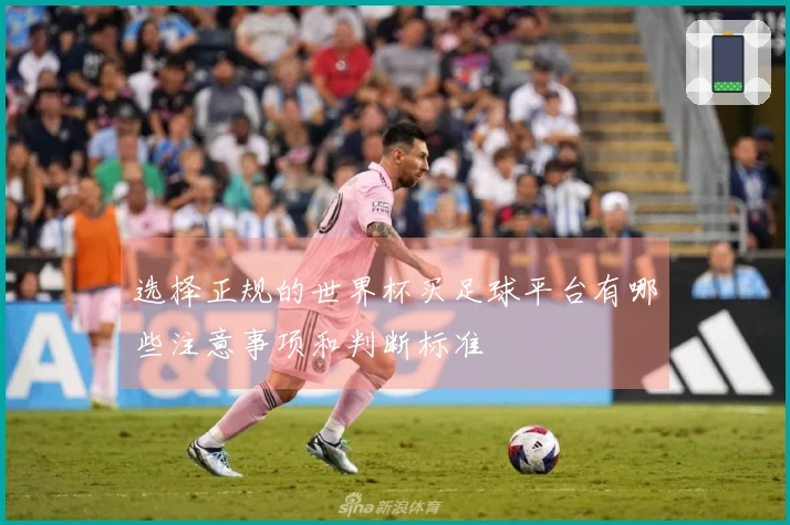 选择正规的世界杯买足球平台有哪些注意事项和判断标准