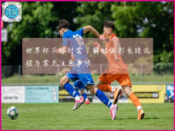 世界杯买球时需了解的体彩竞猜流程与常见注意事项