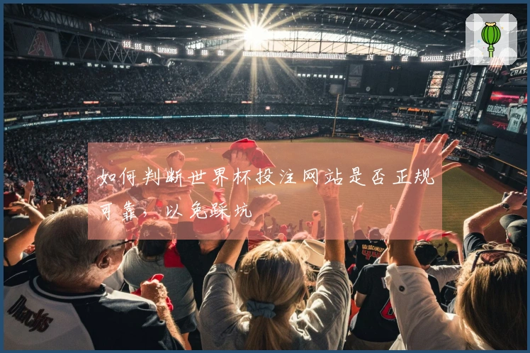 如何判断世界杯投注网站是否正规可靠，以免踩坑